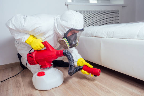 Best Bed Bug Extermination  in Cadillac, MI